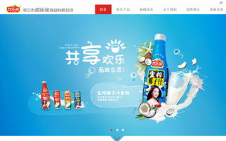 湛江市欢乐家食品有限公司网站设计